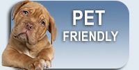 Pet Friendly Hotel Fort Lauderdale